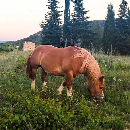 Welcome, Bienvenue, Chez Charly! *