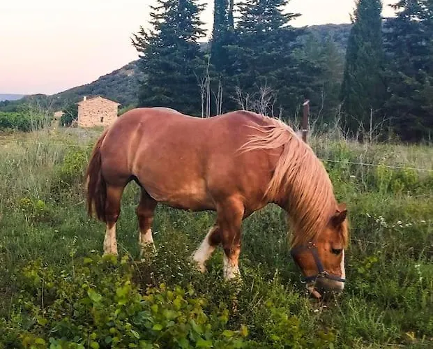 Welcome, Bienvenue, Chez Charly! *
